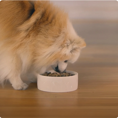 Prime100 SPD Air Dried Lamb & Rosemary Dry Dog Food