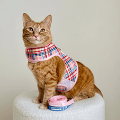 Princess Honeybelle X Catventure - Escape Proof Cat Harness - Pink Tartan