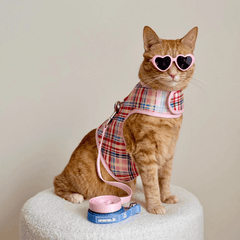 Princess Honeybelle X Catventure - Escape Proof Cat Harness - Pink Tartan