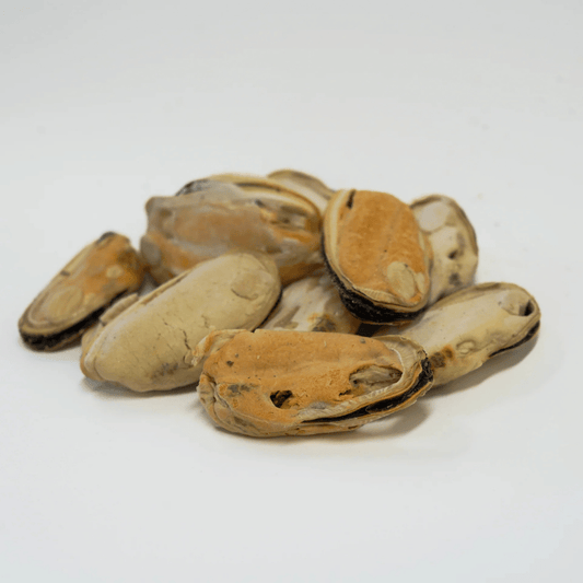 RAFA Raw Freeze-Dried Cat & Dog Treats Human-Grade Green Lipped Mussels 60g