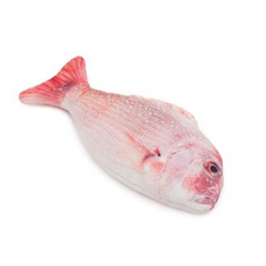 Rosewood 100% Natural Catnip Red Snapper Cat Toy