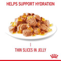 Royal Canin Adult Hairball Care Wet Cat Food Pouches in Jelly 12 x 85g