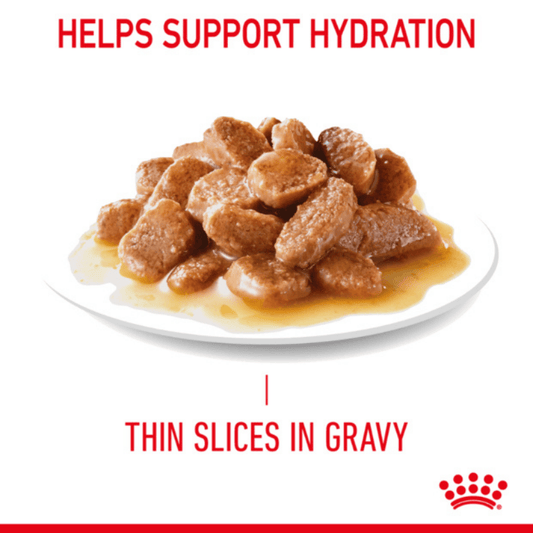 Royal Canin Adult Hairball Care Wet Cat Food Pouches in Gravy 12 x 85g