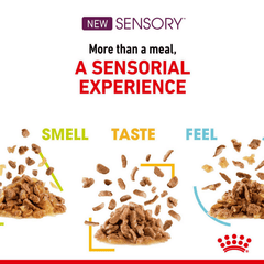 Royal Canin Adult Sensory Feel Wet Cat Food Pouches in Gravy 12 x 85g