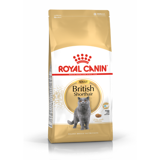 Royal Canin British Shorthair Adult Dry Cat Food