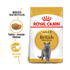 Royal Canin 英国短毛猫成年猫干粮