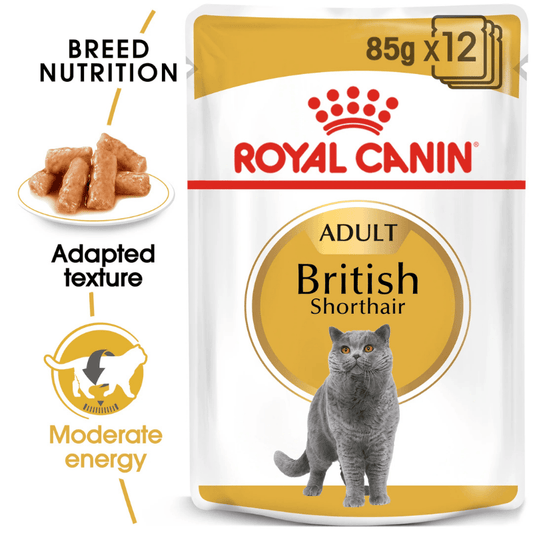 Royal Canin British Shorthair Cat Wet Food 12 x 85g