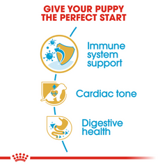 Royal Canin Cavalier King Charles Puppy Junior Dry Dog Food 1.5kg