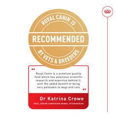Royal Canin Dachshund Adult Wet Dog Food Pouches 12 x 85g