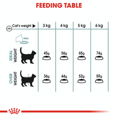 Royal Canin Hairball Care Adult Dry Cat Food 4kg