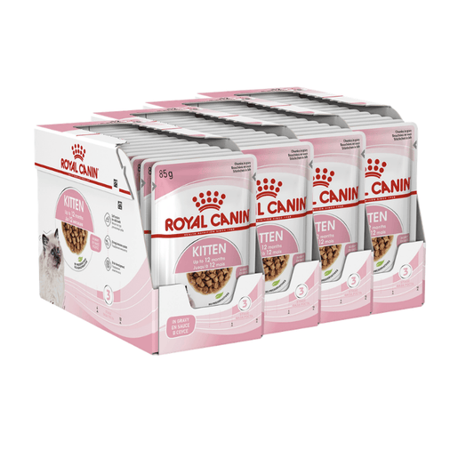 Royal Canin Kitten Wet Food in Gravy