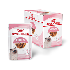 Royal Canin Kitten Wet Food in Gravy