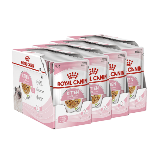 Royal Canin Kitten Wet Food in Jelly