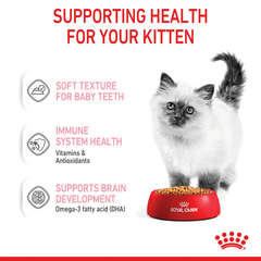Royal Canin Kitten Wet Food in Jelly