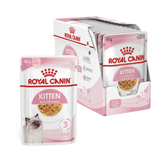 Royal Canin Kitten Wet Food in Jelly