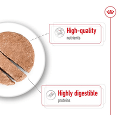 Royal Canin Maxi Adult Loaf Wet Dog Food Can 410g