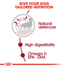 Royal Canin 中型成年犬干粮