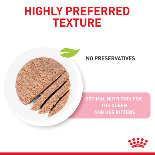 Royal Canin Mother And Babycat Mousse Cat Wet Food Cans