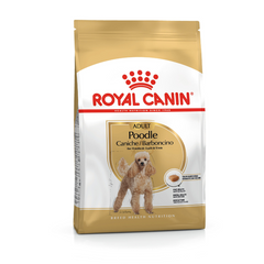 Royal Canin Poodle Adult Dry Dog Food