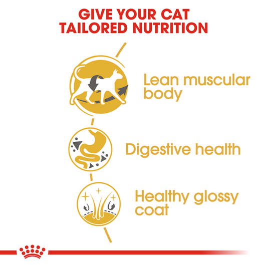 Royal Canin Siamese Adult Dry Cat Food