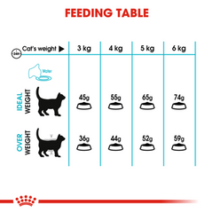 Royal Canin Urinary Care Adult Dry Cat Food 4kg