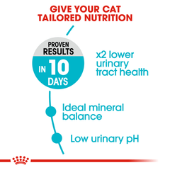 Royal Canin 泌尿护理成猫干粮