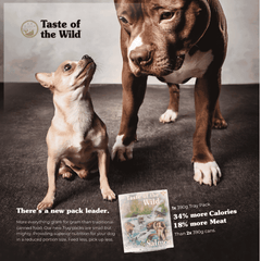 Taste of the Wild Salmon and Herring with Fruit and Vegetable Tray Dog Wet Food 390g