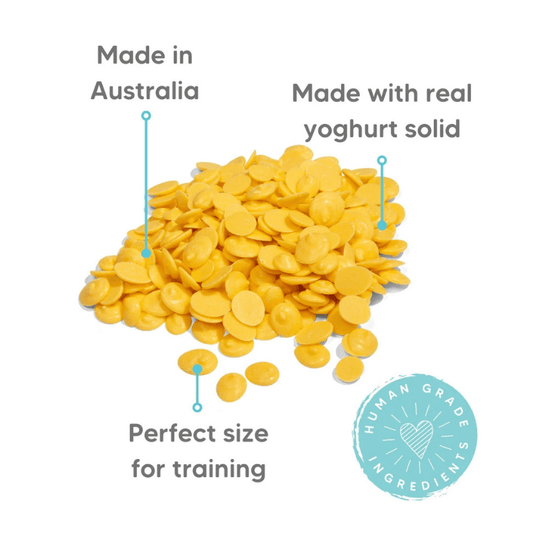 The Pet Project Banana Yoghurt Drops Dog Treats 250g