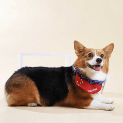 Touchdog Designer Bib Stawberry