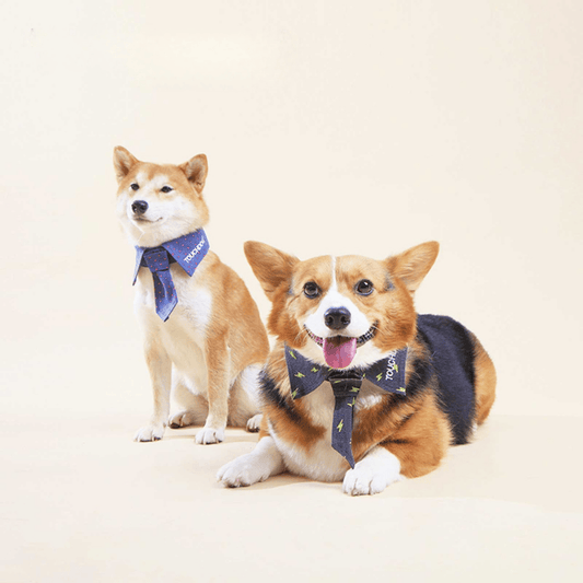 Touchdog Designer Velcro Gentleman Tie