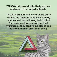 Trilogy Freeze Dried Lamb Cat Treats 50g