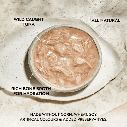 Trilogy Kitten Can in Bone Broth Wet Cat Food 85g