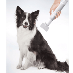 Uah Pet Fluffy-1 Intelligent Temperature Control Pet Hair Dryer