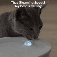 Uah Pet GLOW Wireless Automatic Pet Water Fountain