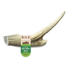 WAG Antler Whole Large Dog Treat