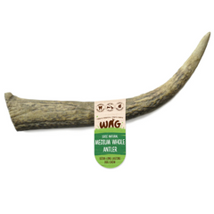 WAG Antler Whole Medium Dog Treat