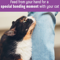 Wellness Lickable Duck Natural Cat Treat 12g x 6