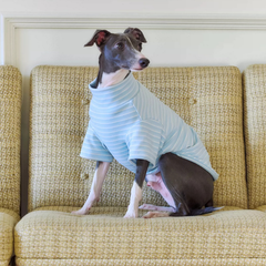ZEZE Dralon Softer Pet Top