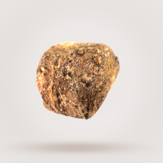 Ziwi Peak Steam Dried Dog Food Beef with Pumpkin