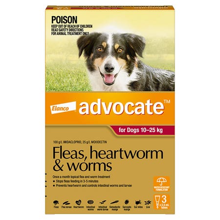 Advocate Spot-on Flea and Worm Treatment for Large Dog 10-25kg 3pk