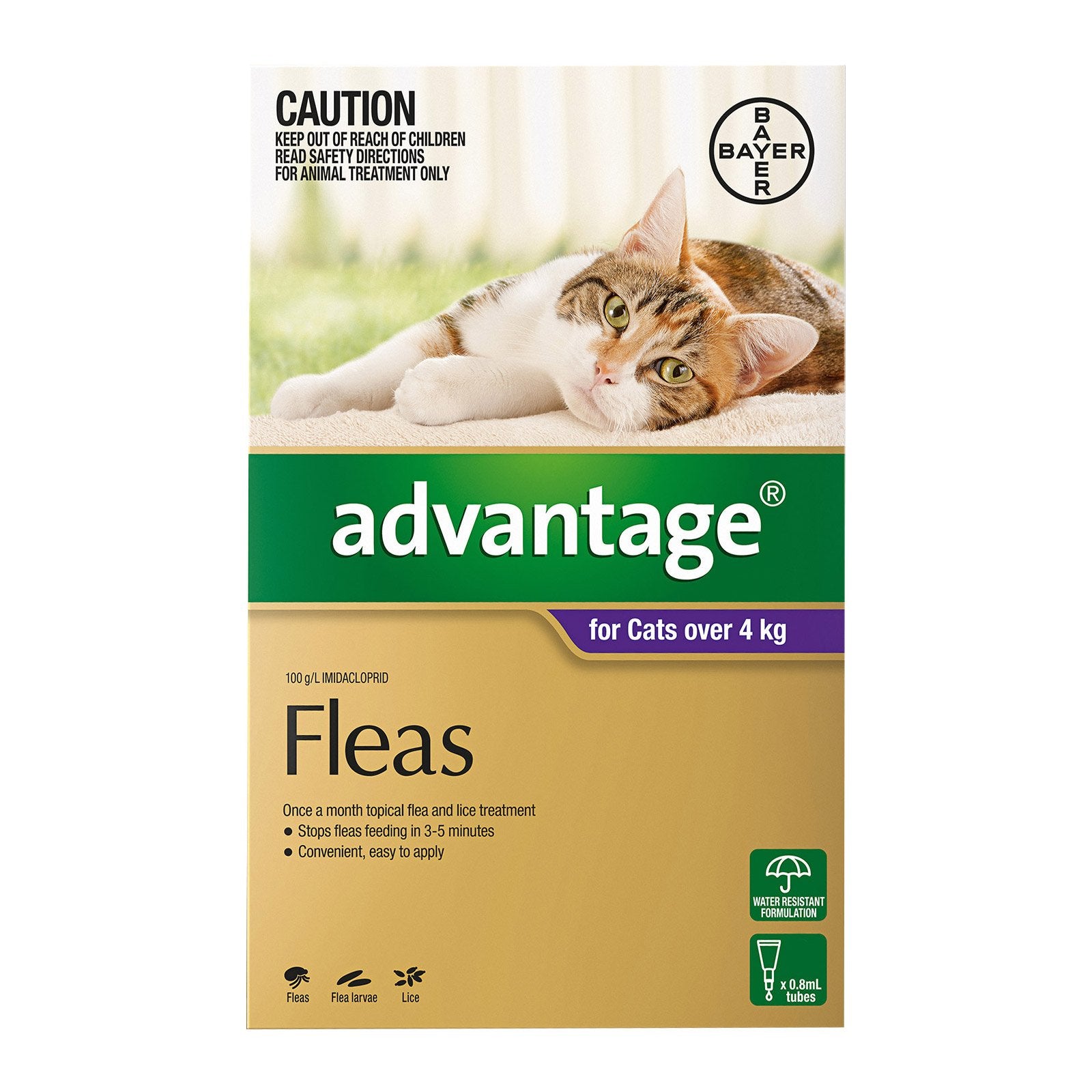 Advantage Spot-on Flea Treatment for Cats over 4kg 6pk