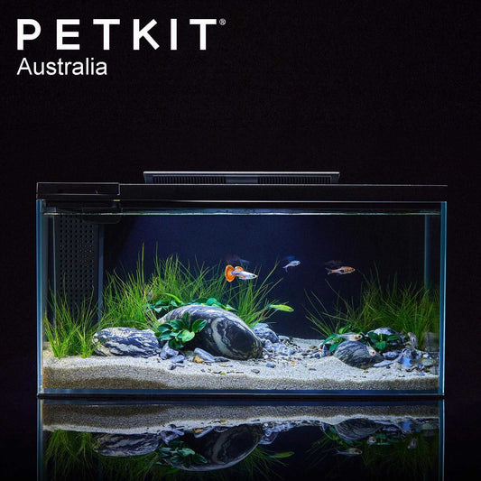 PETKIT Eraark Smart Fish Tank With Landscape – The Stone Park