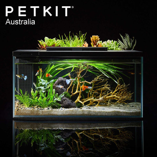 PETKIT Eraark Smart Fish Tank With Landscape – Twilight Shadow