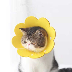 Meoof Sunflower Sponge Pet Elizabeth Collar