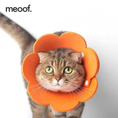 Meoof Sunflower Sponge Pet Elizabeth Collar