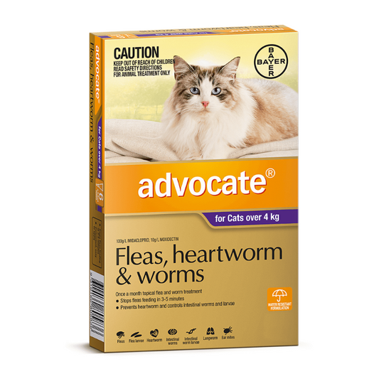 Advocate Spot-on Flea and Worm Treatment for Cats over 4kg