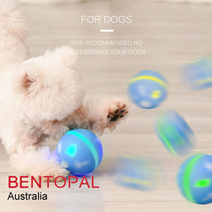 Bentopal Colourful LED Smart Ball Self Rolling Pet Toy – Blue