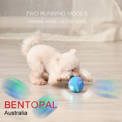 Bentopal Colourful LED Smart Ball Self Rolling Pet Toy – Blue