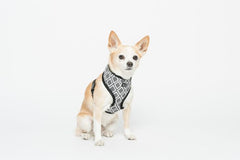 MOG AND BONE Neoprene Harness Grey Ikat