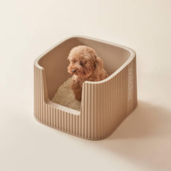 Michu XXL Container Cat Litter Box with Scoop